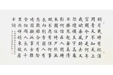 诗词书法 王雪阳楷书书法《水调歌头》