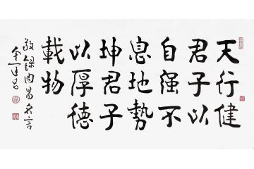 书法家协会理事金运昌书法《天行健》