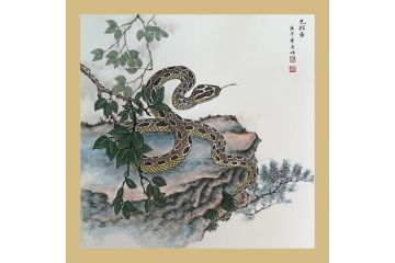 汤希忠写意动物画《十二生肖系列之巳蛇图》