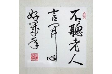 李启南行书书法作品《不听老人言》