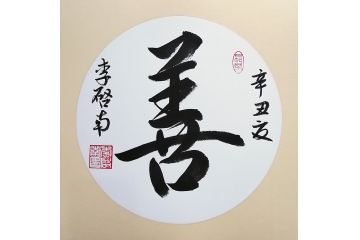 李启南行书书法作品《善》