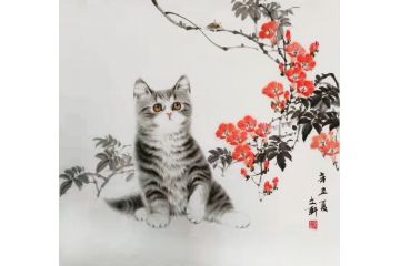 国画猫 秦文轩新品动物画猫《穷款》