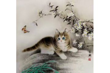 国画斗方图 猫 秦文轩动物画猫《穷款》