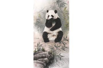 张玉涛新品创作国画动物画熊猫作品《穷款》