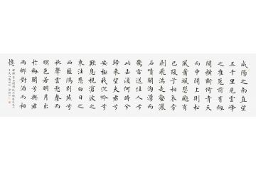 徐朝江新品力作书法《剑阁赋》