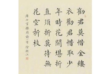 唐七言乐府诗 徐朝江楷书书法《劝君莫惜金缕衣》