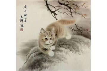 秦文轩老师精品动物画猫《穷款》