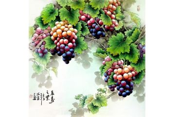 工笔花鸟画家张容新品字画《长寿之果》