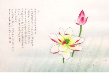王春力新品力作荷花图《爱莲说》