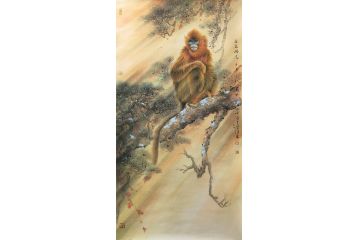 中美协会员蓝健康工笔动物画《金色精灵》