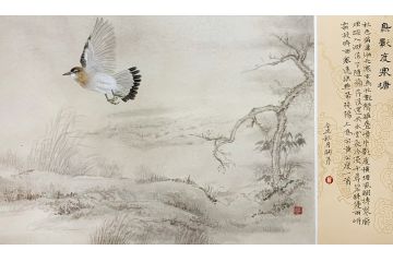 中美协会员罗嗣芹工笔花鸟画《鸟影度寒塘》
