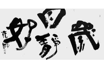 张光胜新品草书书法作品《岁月静好》