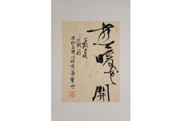 “双会员”辛有芳新品书法《春暖花开》