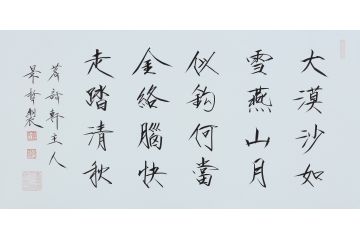 大红袍书法家崔景哲老师瘦金体《大漠沙如雪》