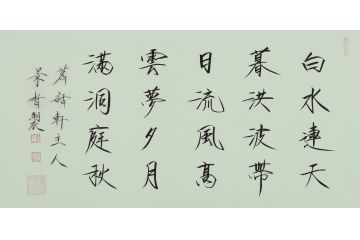 大红袍书法家崔景哲老师瘦金体《白水连天暮》