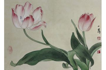 当代青年画家蓝一峰工笔花卉图《品荷》（三）