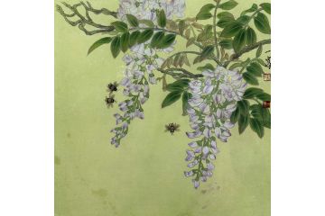 当代青年画家蓝一峰工笔花卉图《觅》