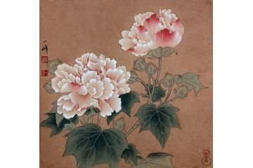 当代青年画家蓝一峰工笔花卉图《佳色》